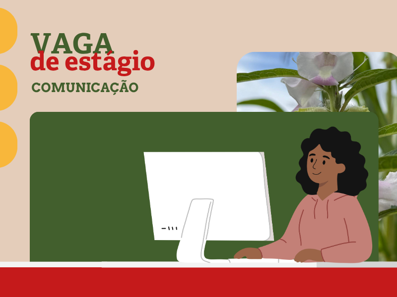  Esplar abre processo seletivo para estágio em comunicação
