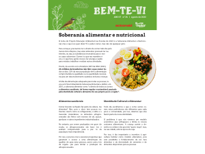 Bem-Te-Vi Ano 17 nº24