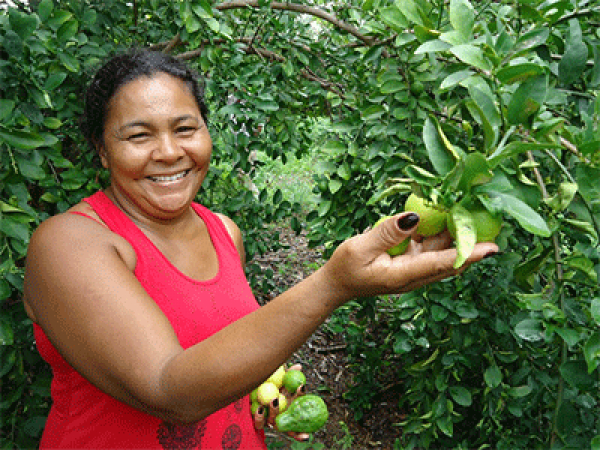 Foto: Com assist&ecirc;ncia t&eacute;cnica agroecol&oacute;gica, fam&iacute;lias cultivam alimentos em quintais produtivos (Acervo Esplar)