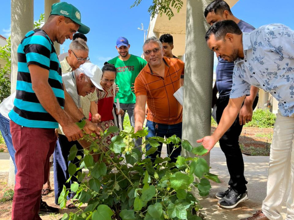 Ipueiras integra-se ao Projeto Algod&atilde;o em Cons&oacute;rcios Agroecol&oacute;gicos