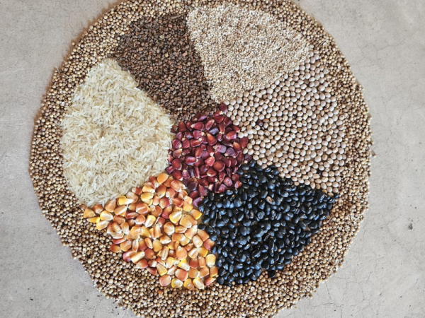 Nota em Defesa da Agroecologia e Justi&ccedil;a Alimentar