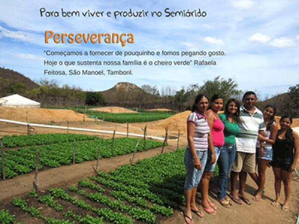 Grupos de agricultoras visitam experi&ecirc;ncias em quintais produtivos e economia solid&aacute;ria