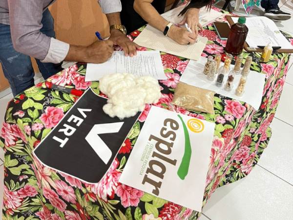 Veja/Vert garante compra do algod&atilde;o produzido pelos cons&oacute;rcios agroecol&oacute;gicos em 2024