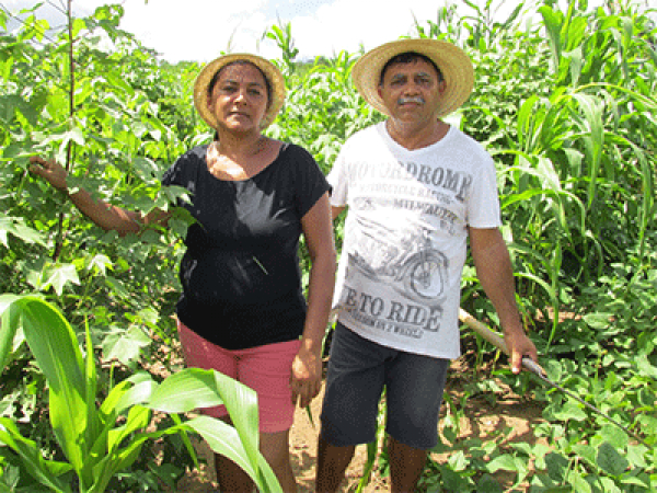 Cons&oacute;rcios agroecol&oacute;gicos completam 15 anos em Chor&oacute;