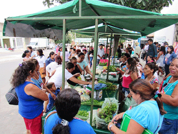 Feira feminista, manifesta&ccedil;&atilde;o e debates marcam o 08 de mar&ccedil;o em Monsenhor Tabosa