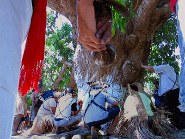 Movimento ind&iacute;gena do Cear&aacute; reafirma escolha de caciques Pitaguary e convoca uni&atilde;o dos povos