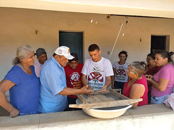 Participantes dos cons&oacute;rcios trocam experi&ecirc;ncias sobre beneficiamento de gergelim