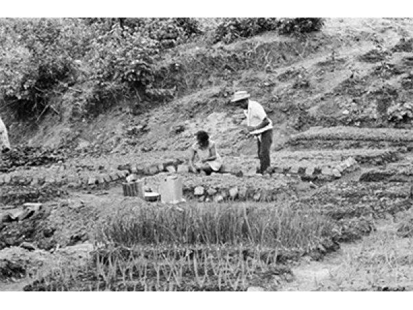 Esplar completa 44 anos de atua&ccedil;&atilde;o em prol da agricultura familiar